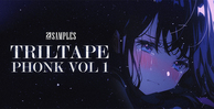 21strxxt samples triltape phonk volume 1 banner