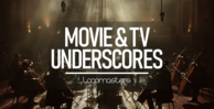 Royalty free cinematic samples  movie samples  film score samples  tv samples  media samples  string ensemble loops  piano loops at loopmasters.comx512