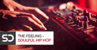 The Feeling - Soulful Hip Hop