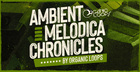 Ambient Melodica Chronicles
