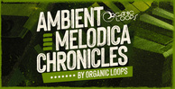 Royalty free melodica samples  melodica loops  ambient melodica  melodica samples  ambient loops  ambient loops at loopmasters.com rectangle