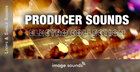 Producer Sounds - Electro Collection