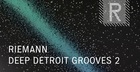 Riemann Deep Detroit Grooves 2