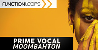 Function loops prime vocal moombahton banner