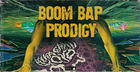 Boom Bap Prodigy