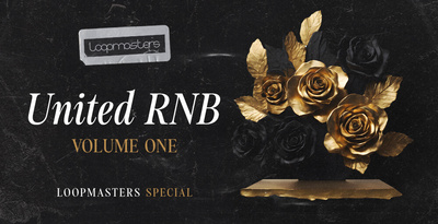 Royalty free rnb samples  rnb synth loops  rnb keys loops  rnb guitar samples  rnb piano loops  rnb vocal loops at loopmasters.com rectangle