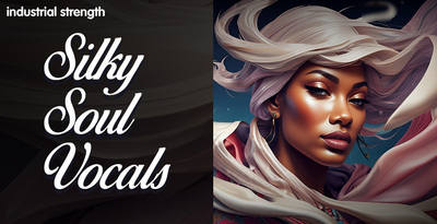 Industrial strength silky soul vocals banner