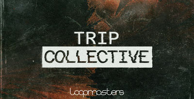 Royalty free trip hop samples  basslines and synthesizers sounds  trip hop drum loops  electric guitar performances  trip hop guitar   keys loops at loopmasters.com 512 edh