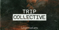 Royalty free trip hop samples  basslines and synthesizers sounds  trip hop drum loops  electric guitar performances  trip hop guitar   keys loops at loopmasters.com 512 edh