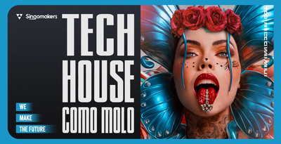 Singomakers tech house como molo banner