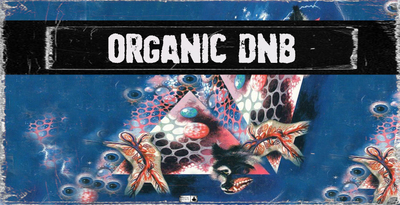 Bfractal music organic dnb banner