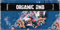 Bfractal music organic dnb banner