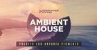 Ambient House Presets for Pigments