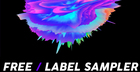 Function Loops - 13 Year Anniversary - Label Sampler