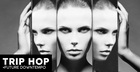 Trip Hop & Future Downtempo