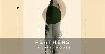 Zenhiser feathers organic house banner