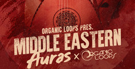 Royalty free middle eastern samples  zither loops  flute and woodwind loops  traditional middle eastern melodies  string loops  oud sounds  cinematic samples at loopmasters.com rectangle