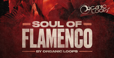 Royalty free latin samples  hip hop guitars  flamenco style guitar chord progressions  hip hop bass loops  nylon string spanish guitar sounds at loopmasters.com rectangle