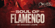Royalty free latin samples  hip hop guitars  flamenco style guitar chord progressions  hip hop bass loops  nylon string spanish guitar sounds at loopmasters.com rectangle