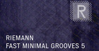 Riemann - Fast Minimal Grooves 5