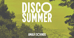 Amalfisounds discosummer 512 loopmasters