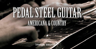 Pedal steel guitar amercana   country 512 loopmasters
