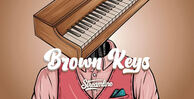 Streamline samples brown keys banner