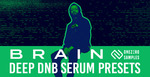 Brain deepdnb serum 512 loopmasters