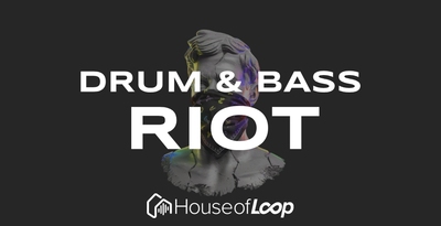 Drum   bass riot 512 lq