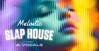 Melodic Slap House & Vocals