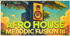 Afro House: Melodic Fusion III