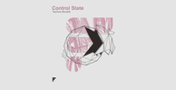 Control state techno bundle banner