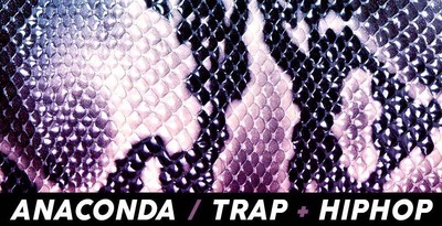 Function loops   anaconda   trap  hiphop 512 loopmasters