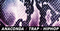 Function loops   anaconda   trap  hiphop 512 loopmasters