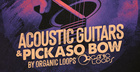 Acoustic Guitars & Pickaso Bow