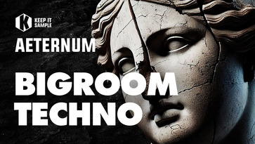 Aeternum bigroomtechno 512 loopmasters