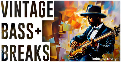 Vintage bass   breaks 1000 x 512 loopmasters