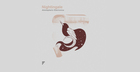Nightingale - Atmospheric Electronica
