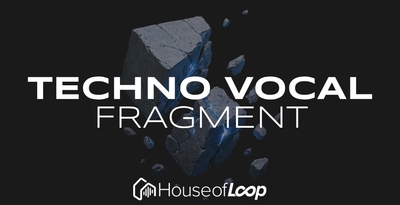 Techno vocal fragment 512 lq