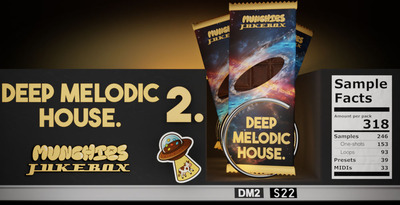 Deepmelodichousev2 1000x512 loopmasters