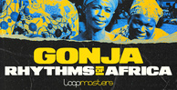 Royalty free african samples  african instrument loops  marimba and kalimba loops  african vocals  african percussion loops  afrobeat instruments  africa%e2%80%99s musical heritage at  rectangle