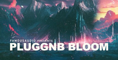 Fa pgnb pluggnb chill 1000x512 loopmasters