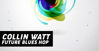Function loops collin watt future blues hop banner