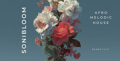 Sonibloom 512 loopmasters