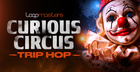 Curious Circus - Trip Hop 