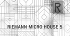 Riemann Micro House 5
