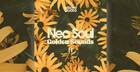 Neo Soul Golden Sounds II