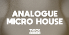 Analogue Micro House