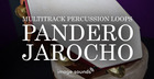 Pandero Jarocho