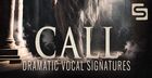Soundlayers - Call